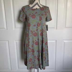 LuLaRoe Carly Dress
